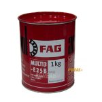 گریس نسوز MULTI3-E25B FAG آلمان یک کیلوگرم
